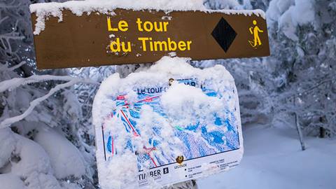 Access to snowshoeing and alpine touring trails