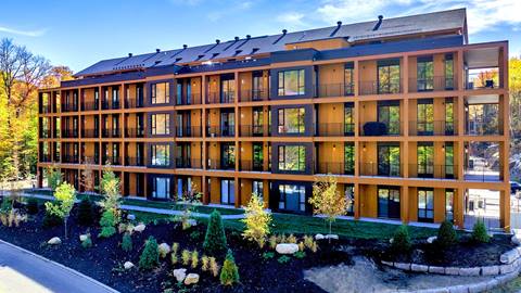 Ostrya Tremblant