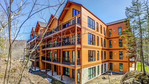Ostrya Tremblant