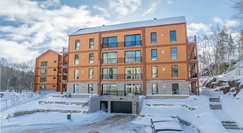 Ostrya Tremblant
