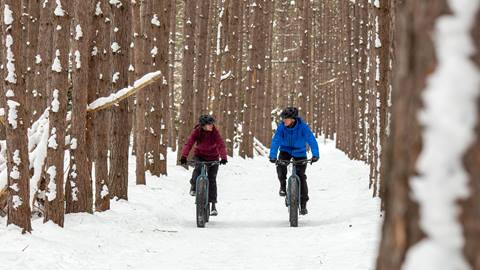 Two riders navigating a forest trail on fat bikes through rugged terrain at Mont Tremblant fat bike rental trails