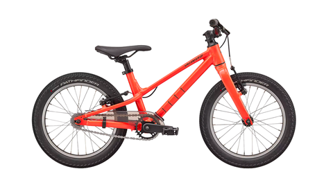 Specialized Jett