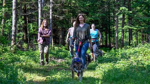 Cani hiking
