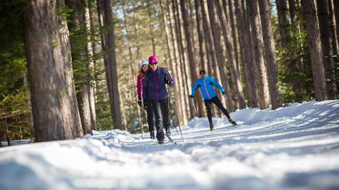 Cross-country skiing at Domaine Saint-Bernard