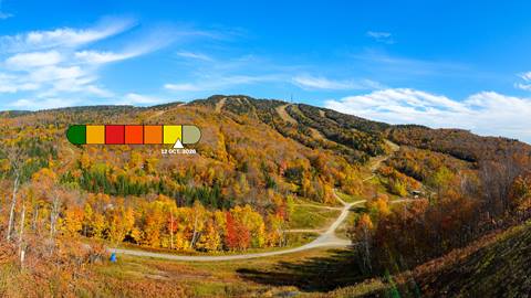 tremblant colour indexing code