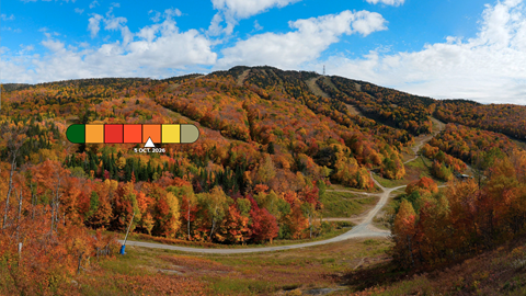 tremblant colour indexing code