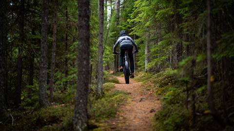 Tours guidés vélo Tremblant