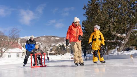 Free skate loan