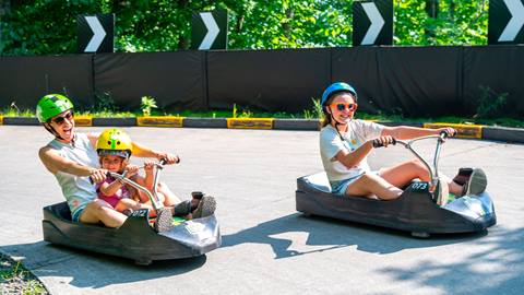Luge
