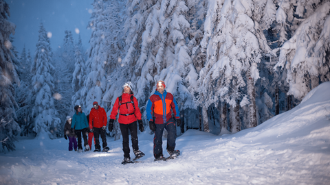 Snowshoeing and Fondue Tour