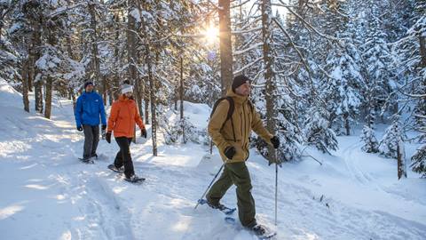 Snowshoeing and Fondue Tour