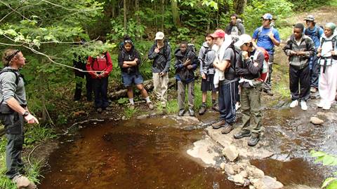 Group of people gathered around a forest stream learning safe drinking water techniques during a wilderness survival class in Tremblant