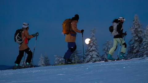 Traversée Nocturne