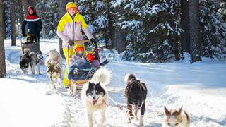 Dogsledding tremblant