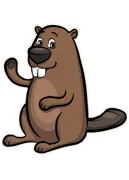 Castor tam tam